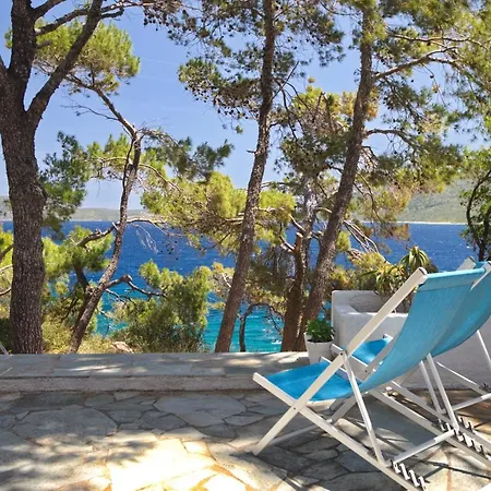 Kavos فيلة *
