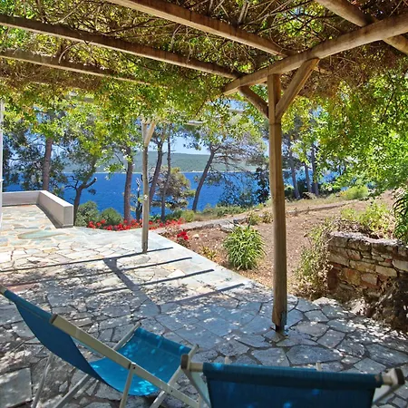 Kavos فيلة