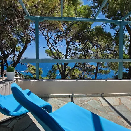 فيلة Kavos *